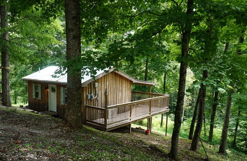 Smithville Cabina | Retreat to Your Private Haven in the Trees
