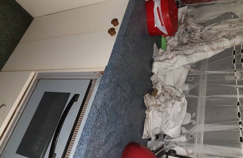 Waikanae Casa | retro housebus love