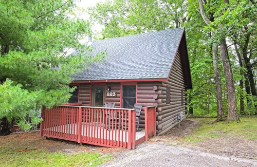 Wisconsin Dells Cabina | Christmas Mountain Village ™ - Wisconsin Dells - Cabaña de 2 habitaciones