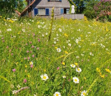 Gersfeld Casa | Rhöner Landhaus mit viel Flair