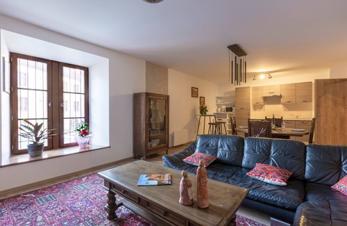 Selestat Apartamento | RHENANUS: Jacques Taurellus 🐕‍🅿️🗝