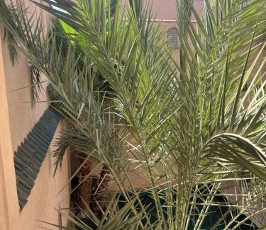 Mouassine Casa | Riad 29 Mouassine