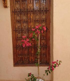 R'habet Zbib Casa | Riad jasmins & Spa