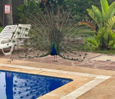 Oulad Salah Cama Y Desayuno | Riad TANJIL
