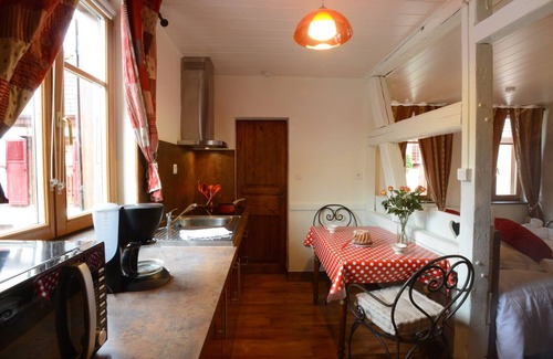 Ribeauville Apartamento | RIBEAUVILLE city center - Gîte des Ménétriers, LE RIESLING - TripAlsace