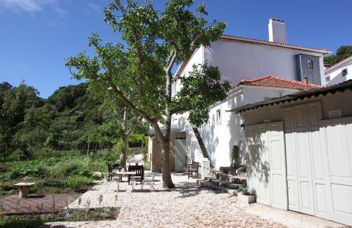 Monserrate Apartamento | ribeira dos marinheiros amarelo