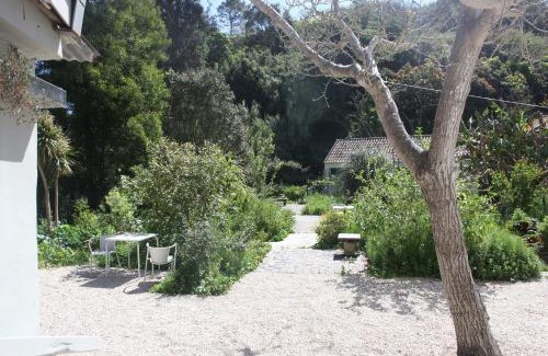Monserrate Apartamento | Ribeira dos Marinheiros Verde Água