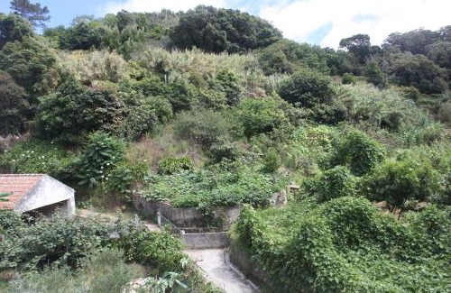 Monserrate Apartamento | Ribeira dos Marinheiros Verde Água