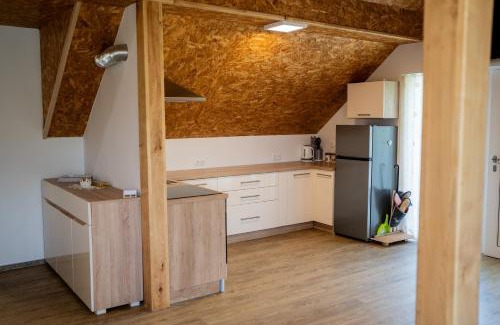 Bostanj Apartamento | Ribnik Stari trg