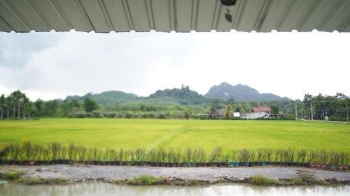 Plai Phraya Casa | Rice Field Bungalows