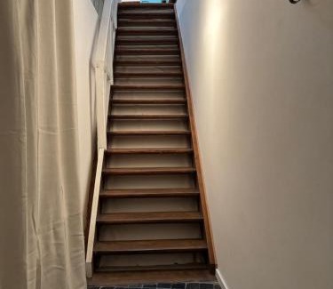 Amandus - Atheneum Apartamento | Richard XIII