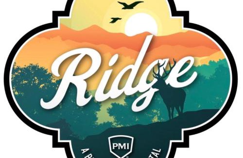 Kerrville Casa | Ridge - A Birdy Vacation Rental