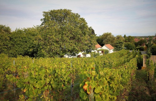 Rouffach Casa | Riesling cabaña para 2 a 8 personas, ideal para familias,