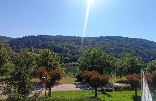 Hatzenport Apartamento | Riesling