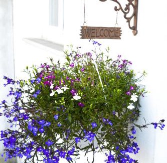 Cicerale Apartamento | Rigoletto Cilento with private garden and pool