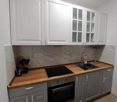 Petrovec Apartamento | RIO Apartment