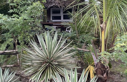 Puerto Barrios Casa | Cabaña Rio Lagarto à la orilla del mar