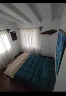 Collentane Apartamento | Rio Lodge: Comidas y Cabañas