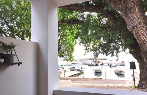 Klenovica Apartamento | Riva