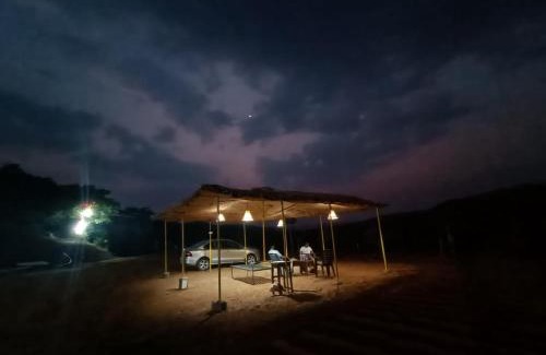 Ambavna Casa | River and Nature Agro Tourism Resort