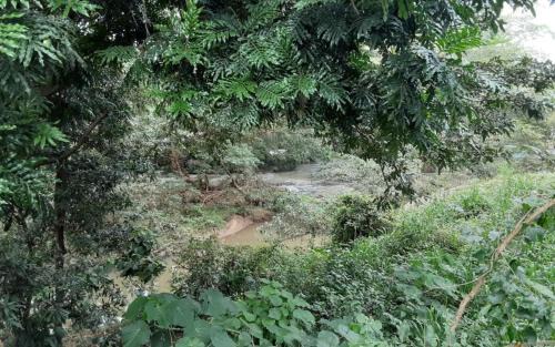 Udawalawa Cabina | River Forest Camp