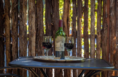 Gruene Apartamento | River Haven Treehouse w/Hot Tub by Gruene!