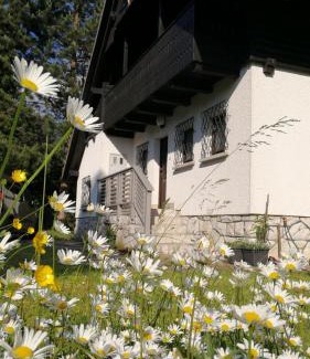 Preddvor Casa | River house HRIB