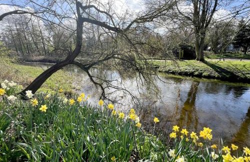 Fakenham Casa | River Rose