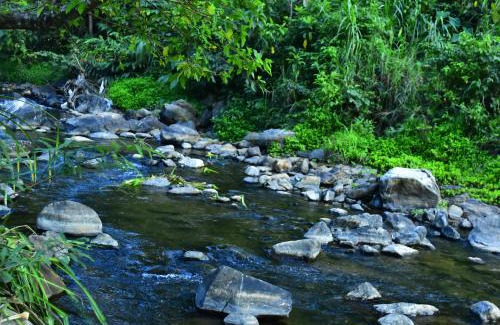 Stuart Hill Complejo | River Valley Retreat Coorg