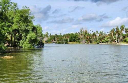 Los Fresnos Casa | Riverfront Family Home Yard, Orchard, Dock!