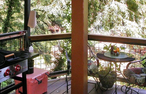 Ben Lomond Apartamento | RiverFront TREEHOUSE ANTIGUO REDWOODS STUDIO ~ ¡VISTAS INCREÍBLES! DUCHA AL AIRE LIBRE !!