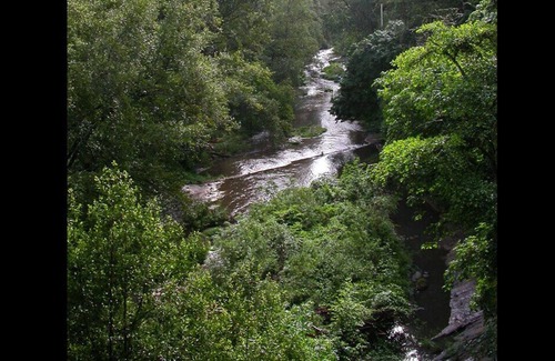 Ben Lomond Apartamento | RiverFront TREEHOUSE ANTIGUO REDWOODS STUDIO ~ ¡VISTAS INCREÍBLES! DUCHA AL AIRE LIBRE !!