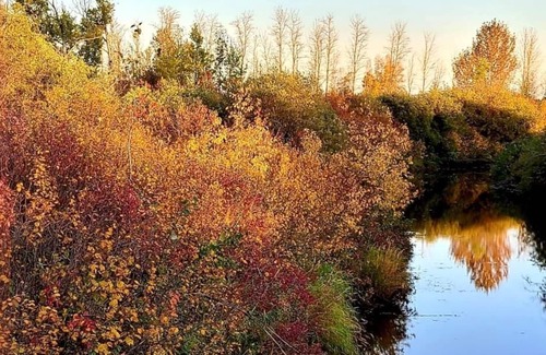 Central Alberta Cabaña | Riverside Acres