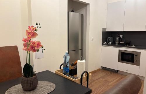 Vysehrad Apartamento | Riverside apartment