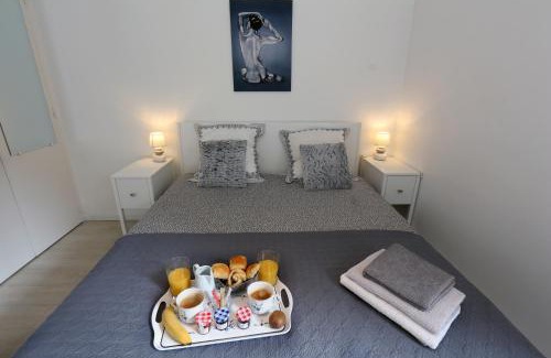 Capitole Apartamento | Riverside Toulouse (Harmony)