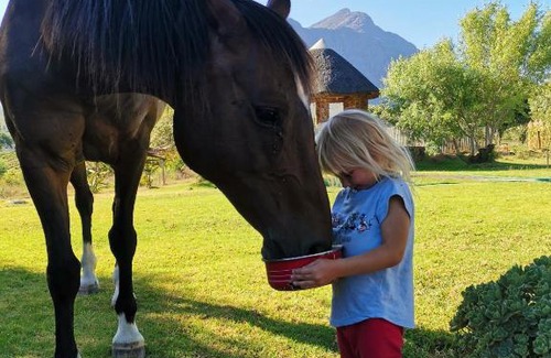 Tulbagh Casa | Riviera Cottage