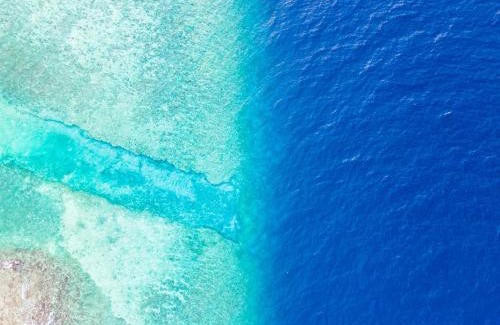 Thoddoo Casa | Riyaludhathuru Maldives
