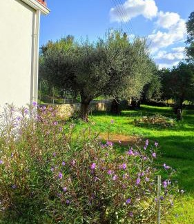 Gefira Mpania Casa | Rizaki Cottage in Nafpaktos