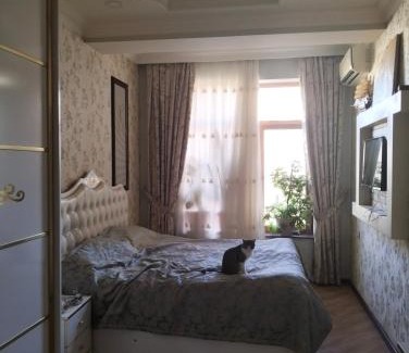Baku Apartamento | RizoEfendi
