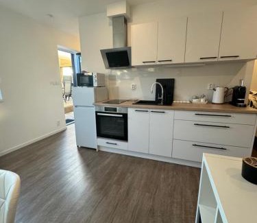 Brno-Lisen Apartamento | RK Apartment Brno