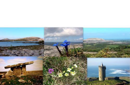 Kilfenora Casa | Roadside Cottage The Burren Kilfenora County Clare