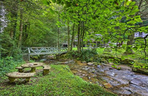 Roan Mountain Casa | Roan Mountain Creekside Cabin Hike and Fish!