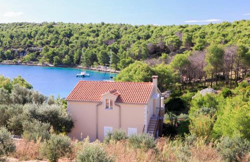 Cove Osibova (Milna) Apartamento | Robinson Luce