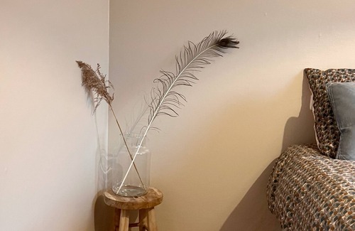 Tavant Casa | Rock the Villa