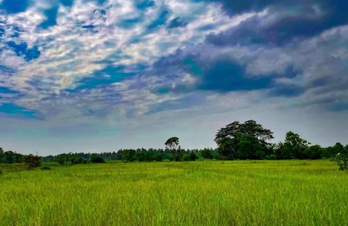 Nattandiya Casa | Rohans place