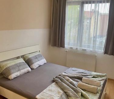 Erzsebetvaros Apartamento | Roland Apartment Downtown - Garay