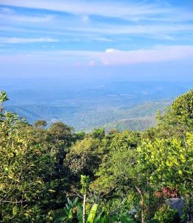 Elappara Casa | Roley Stone