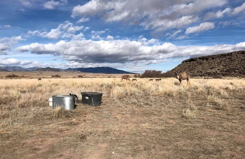 Capulin Casa | Romantic Camping Yurt on Camel Farm near Alamosa, Colorado