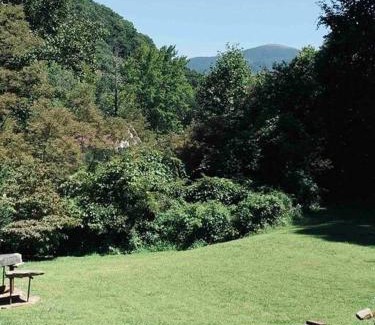 Roan Mountain Chalet De Esquí | Romantic Chalet w/Hot Tub close to Roan Mountain