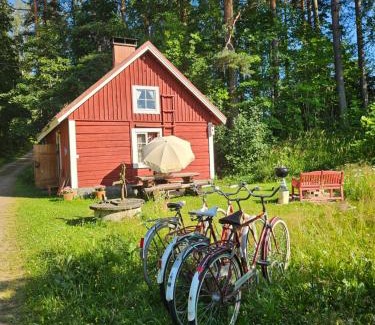 Padasjoki Casa | Romantic countryside SAUNA Cottage